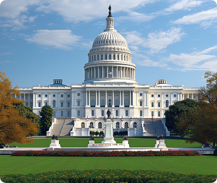 Win More Government Contracts Without Guesswork